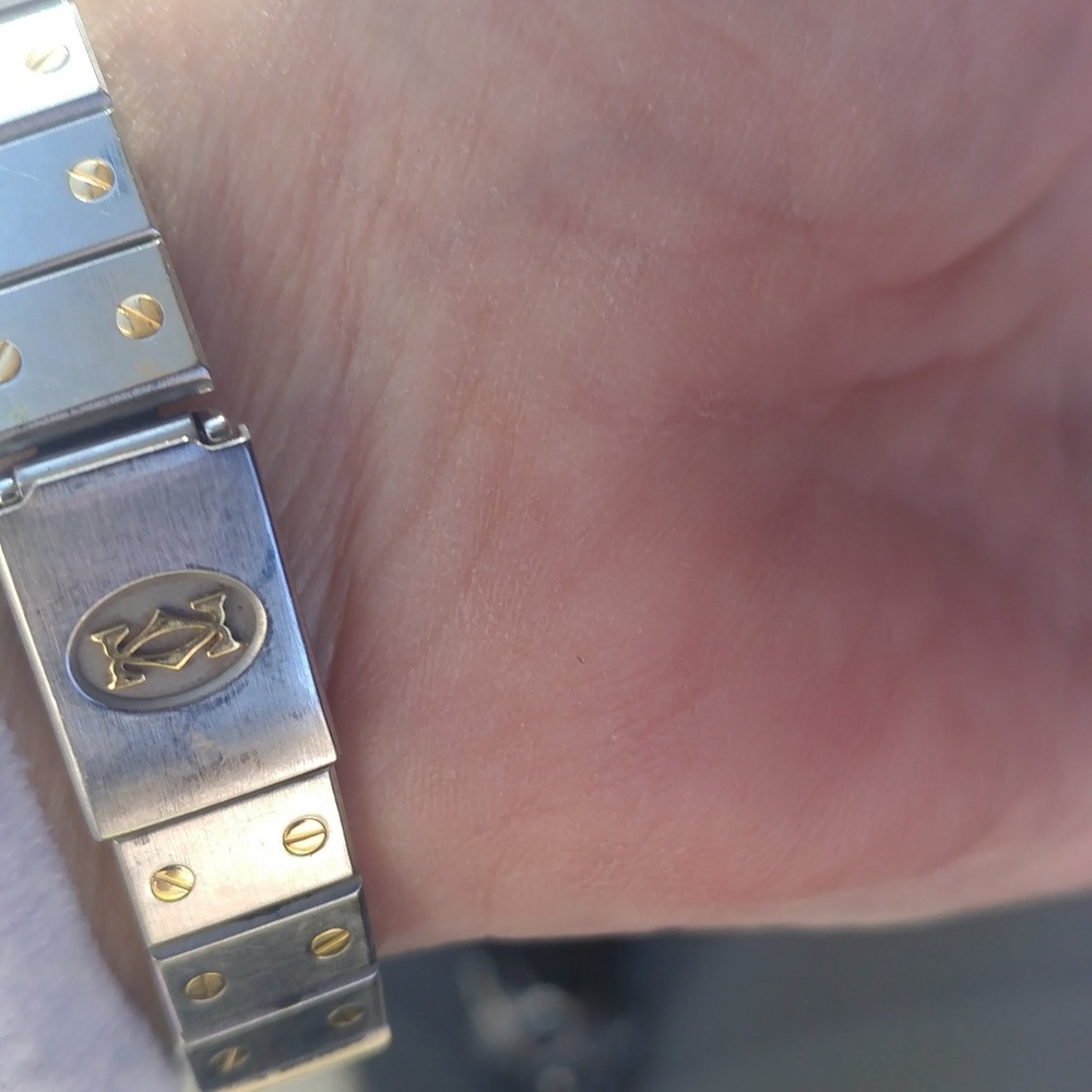 Cartier watch